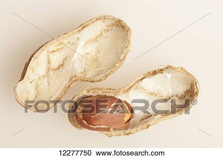 Stock Image - Missing peanut; Edmonton, Alberta, Canada. Fotosearch