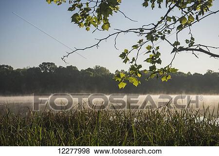 Mist arises from Sally Jones Lake on a spring morning; Vian, Oklahoma, United States of America View Large Photo Image Stock Photo - Mist arises from Sally Jones Lake on a spring morning; Vian, Oklahoma, United States of America. Fotosearch