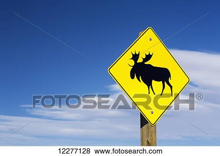 Stock Photo - Moose crossing road sign with blue sky and clouds; Alberta, Canada. Fotosearch