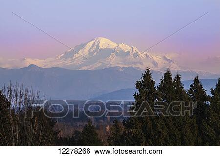Mount Baker; Ferndale, Washington, United States of America View Large Photo Image Stock Photograph - Mount Baker; Ferndale, Washington, United States of America. Fotosearch