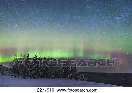 Northern Lights over snowcovered evergreen trees, Copper River Valley, Southcentral Alaska, winter View Large Photo Image Stock Image - Northern Lights over snowcovered evergreen trees, Copper River Valley, Southcentral Alaska, winter. Fotosearch