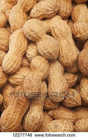 Stock Photo - Peanuts; Edmonton, Alberta, Canada. Fotosearch