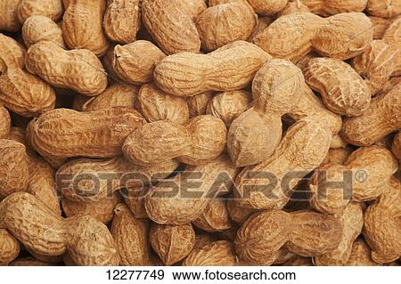 Stock Photo - Peanuts; Edmonton, Alberta, Canada. Fotosearch