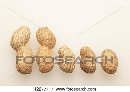 Peanuts in shells; Edmonton, Alberta, Canada View Large Photo Image Stock Photo - Peanuts in shells; Edmonton, Alberta, Canada. Fotosearch