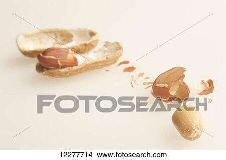 Picture - Peanuts out of the shell; Edmonton, Alberta, Canada. Fotosearch