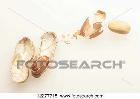 Peanuts out of the shell; Edmonton, Alberta, Canada View Large Photo Image Stock Photography - Peanuts out of the shell; Edmonton, Alberta, Canada. Fotosearch