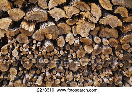 Pile of apple wood; St. Paul D'abbotsford, Quebec, Canada View Large Photo Image Stock Image - Pile of apple wood; St. Paul D'abbotsford, Quebec, Canada. Fotosearch