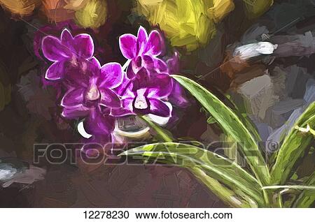 Stock Image - Purple vanda orchid; Honolulu, Oahu, Hawaii, United States of America. Fotosearch