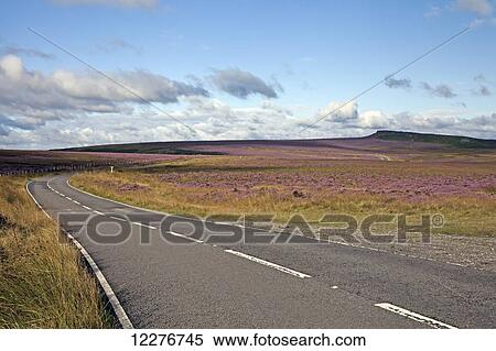 Road winding through Heather landscape; Pennines, England View Large Photo Image Stock Photography - Road winding through Heather landscape; Pennines, England. Fotosearch