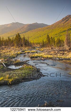 Stock Image - Scenic view of a stream in Eagle River Valley, Chugach State Park, Southcentral Alaska. Fotosearch