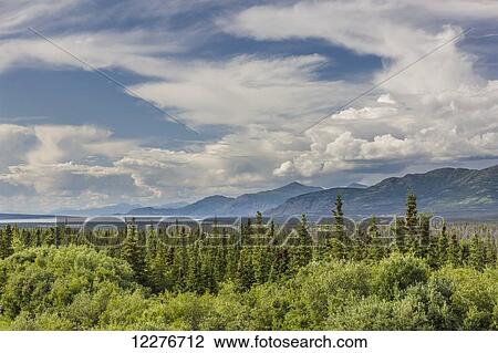 Stock Image - Scenic view of Kluane Lake and a boreal forest in the foreground, Yukon Territory, Canada, Summer. Fotosearch