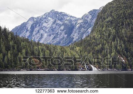 Scenic view of Princess Royal Island near Elephant Head Point, Inside Passage, British Columbia, Canada View Large Photo Image Stock Image - Scenic view of Princess Royal Island near Elephant Head Point, Inside Passage, British Columbia, Canada. Fotosearch