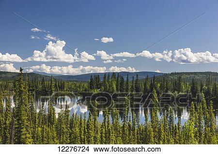 Picture - Scenic view of the Canadian side of the the Canada/US border, Yukon Territory, Summer. Fotosearch
