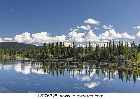 Stock Photography - Scenic view of the Canadian side of the the Canada/US border, Yukon Territory, Summer. Fotosearch