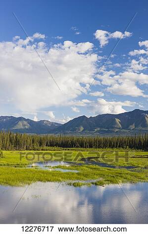 Scenic view of wetlands and mountains north of Kluane Lake, Yukon Territory, Canada, Summer View Large Photo Image Stock Photo - Scenic view of wetlands and mountains north of Kluane Lake, Yukon Territory, Canada, Summer. Fotosearch
