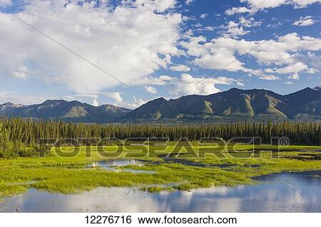Scenic view of wetlands and mountains north of Kluane Lake, Yukon Territory, Canada, Summer View Large Photo Image Stock Photograph - Scenic view of wetlands and mountains north of Kluane Lake, Yukon Territory, Canada, Summer. Fotosearch
