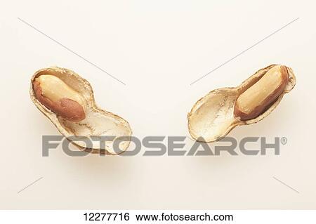 Separated peanuts; Edmonton, Alberta, Canada View Large Photo Image Stock Photograph - Separated peanuts; Edmonton, Alberta, Canada. Fotosearch