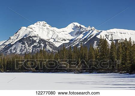 Snow covered mountains with a snow covered lake, evergreen trees and blue sky; Banff, Alberta, Canada View Large Photo Image Stock Image - Snow covered mountains with a snow covered lake, evergreen trees and blue sky; Banff, Alberta, Canada . Fotosearch