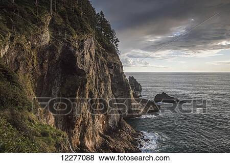 Some spectacular coastline is found at Oswald West State Park; Manzanita, Oregon, United States of America View Large Photo Image Stock Photo - Some spectacular coastline is found at Oswald West State Park; Manzanita, Oregon, United States of America. Fotosearch