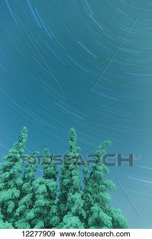 Stock Photo - Star trails in a clear night sky illuminated green by Northern Lights, Copper River Valley, Southcentral Alaska. Fotosearch