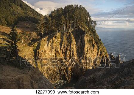 Tall cliffs are found at Oswald West State Park; Manzanita, Oregon, United States of America View Large Photo Image Stock Image - Tall cliffs are found at Oswald West State Park; Manzanita, Oregon, United States of America. Fotosearch