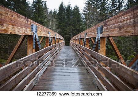 The bridge across Fish Creek on Douglas Island, Tongass National Forest, Southeast Alaska View Large Photo Image Stock Photo - The bridge across Fish Creek on Douglas Island, Tongass National Forest, Southeast Alaska. Fotosearch