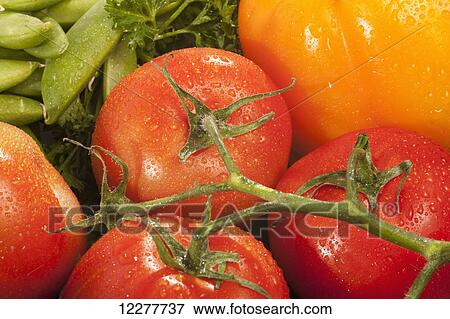 Variety of vegetables; Edmonton, Alberta, Canada View Large Photo Image Stock Photo - Variety of vegetables; Edmonton, Alberta, Canada. Fotosearch