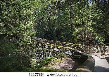 View of the bridge over Whatcom Falls, Bellingham, Washington, Summer View Large Photo Image Stock Image - View of the bridge over Whatcom Falls, Bellingham, Washington, Summer. Fotosearch