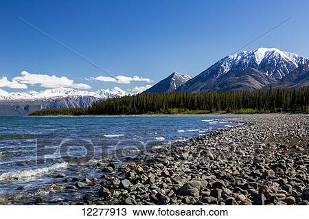 Stock Image - View of the shoreline of Kluane Lake in the Yukon Territory, Canada, summer. Fotosearch