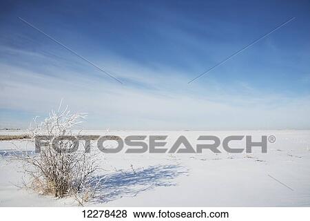 Winter landscape on a very cold Alberta day, South of Calgary; Alberta, Canada View Large Photo Image Stock Photo - Winter landscape on a very cold Alberta day, South of Calgary; Alberta, Canada. Fotosearch