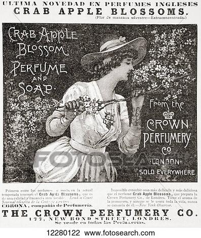Stock Image - A 19th century advertisement for Crab Apple Blossom Perfume and Soap from The Crown Perfumery Co. London, established in 1872. From La Ilustracion Española y Americana, published 1892.. Fotosearch