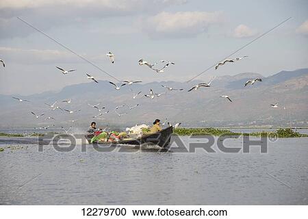Stock Image - A couple in a motorized canoe laden with food and household goods attract many seagulls on Inle Lake; Myanmar. Fotosearch