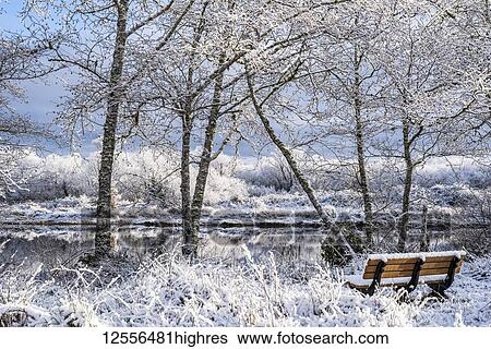 A delicate dusting of snow lingers on a winter morning with a bench looking out to tranquil water; Astoria, Oregon, United States of America View Large Photo Image Stock Photograph - A delicate dusting of snow lingers on a winter morning with a bench looking out to tranquil water; Astoria, Oregon, United States of America. Fotosearch