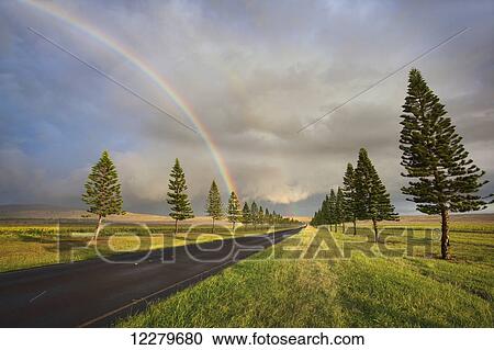 Stock Image - A dramatic rainbow on Manele Road; Lanai, Hawaii, United States of America. Fotosearch