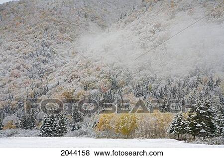 A Fog Bank Drifts Across A Snowy Fall Hillside At Big Intervale, Cape Breton, Nova Scotia View Large Photo Image Stock Photo - A Fog Bank Drifts Across A Snowy Fall Hillside At Big Intervale, Cape Breton, Nova Scotia. Fotosearch