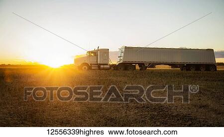 Stock Photograph - A grain transport truck sitting in a Canola field at sunset waiting for its next load; Legal, Alberta, Canada. Fotosearch