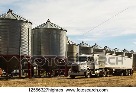 Stock Photograph - A grain truck parked in front of metal silos during harvest; Legal, Alberta, Canada. Fotosearch