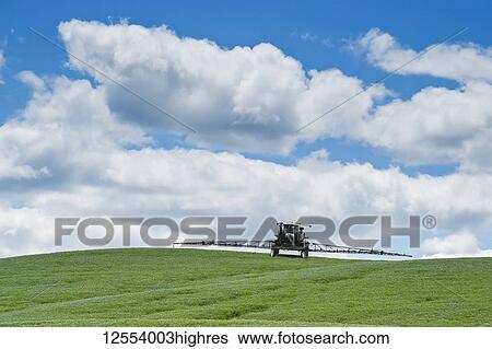 A high clearance sprayer applies a chemical application of fungicide to a flax field; Tiger Hills, Manitoba, Canada View Large Photo Image Stock Photograph - A high clearance sprayer applies a chemical application of fungicide to a flax field; Tiger Hills, Manitoba, Canada. Fotosearch