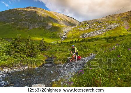 Stock Photograph - A man riding his mountain bike on the Palmer Valley Road near Hope, Alaska on a sunny summer day in South-central Alaska; Alaska, United States of America. Fotosearch