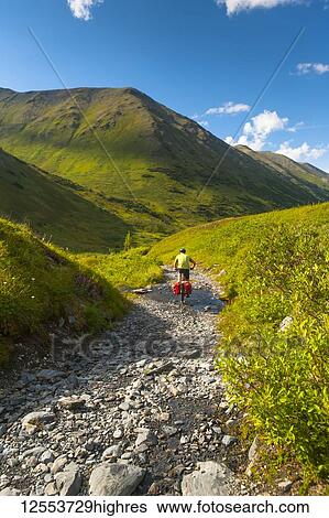 Stock Photograph - A man riding his mountain bike on the Palmer Valley Road near Hope, Alaska on a sunny summer day in South-central Alaska; Alaska, United States of America. Fotosearch