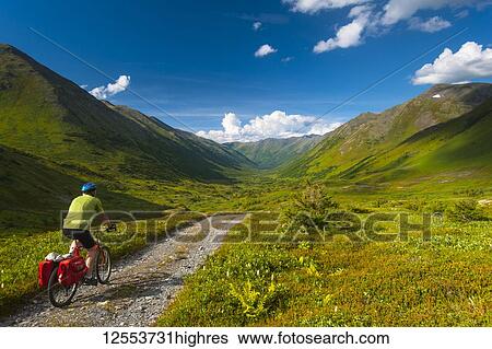 Stock Photograph - A man riding his mountain bike on the Palmer Valley Road near Hope, Alaska on a sunny summer day in South-central Alaska; Alaska, United States of America. Fotosearch