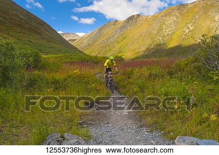 Stock Photograph - A man riding his mountain bike on the Devil's Pass Trail on a sunny summer day in South-central Alaska; Alaska, United States of America. Fotosearch