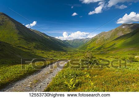 A view of the Palmer Valley Road near Hope, Alaska on a sunny summer day in South-central Alaska; Alaska, United States of America View Large Photo Image Stock Photograph - A view of the Palmer Valley Road near Hope, Alaska on a sunny summer day in South-central Alaska; Alaska, United States of America. Fotosearch