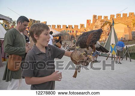 A young boy holding a trained falcon at the Medieval Fair; Obidos, Portugal View Large Photo Image Stock Image - A young boy holding a trained falcon at the Medieval Fair; Obidos, Portugal. Fotosearch