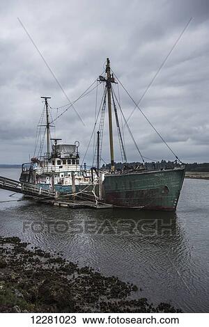 Abandoned Antarctic research vessel; Bay Center, Washington, United States of America View Large Photo Image Stock Image - Abandoned Antarctic research vessel; Bay Center, Washington, United States of America. Fotosearch