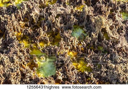 Acidic hot springs and geysers, mineral formations, salt deposits in the crater of Dallol Volcano, Danakil Depression; Afar Region, Ethiopia View Large Photo Image Stock Photograph - Acidic hot springs and geysers, mineral formations, salt deposits in the crater of Dallol Volcano, Danakil Depression; Afar Region, Ethiopia. Fotosearch