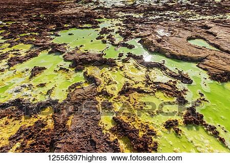 Stock Photograph - Acidic pools, mineral formations, salt deposits in the crater of Dallol Volcano, Danakil Depression; Afar Region, Ethiopia. Fotosearch
