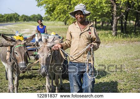 Stock Photo - Africans with donkeys pulling a cart in a rural area; Maun, Botswana. Fotosearch