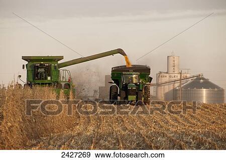 Agriculture - A combine harvests grain corn and unloads the corn into a grain wagon View Large Photo Image Stock Photo - Agriculture - A combine harvests grain corn and unloads the corn into a grain wagon. Fotosearch
