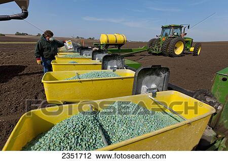 Agriculture - A farmer prepares for corn planting operations by adding talc powder to the corn seeds in has planter hoppers. The talc improves the seed flow performance of the seed planter, thus increasing crop yields / Minnesota, USA. View Large Photo Image Stock Image - Agriculture - A farmer prepares for corn planting operations by adding talc powder to the corn seeds in has planter hoppers. The talc improves the seed flow performance of the seed planter, thus increasing crop yields / Minnesota, USA.. Fotosearch